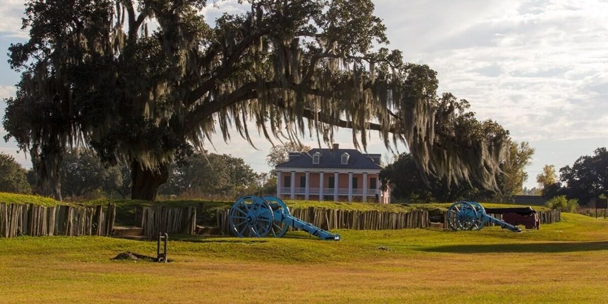Cannons at a rampart under a live oak tree at the Chalmette Battlefield. Large house in the back.