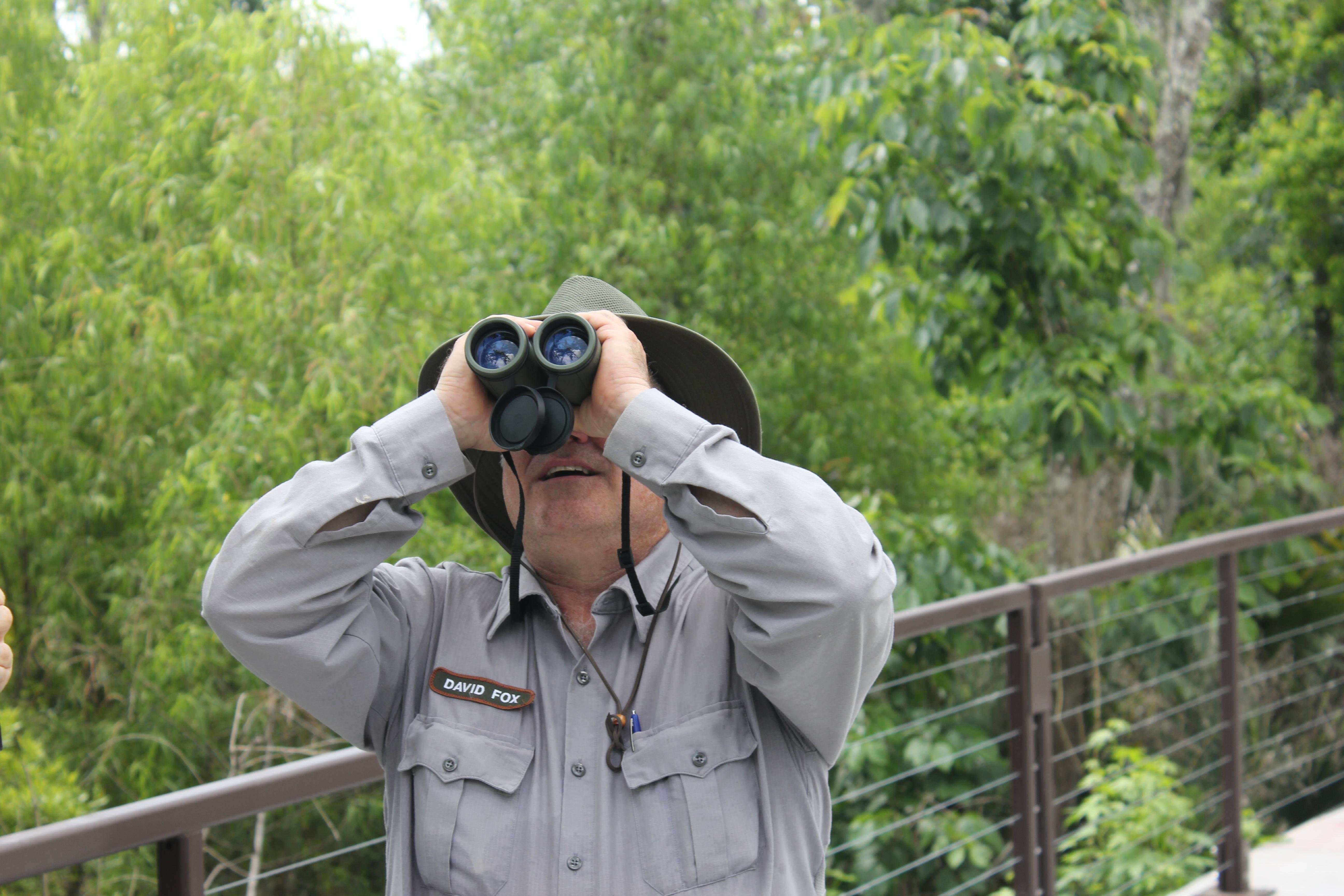 A park ranger uses binoculars to look at a bird in the sky.