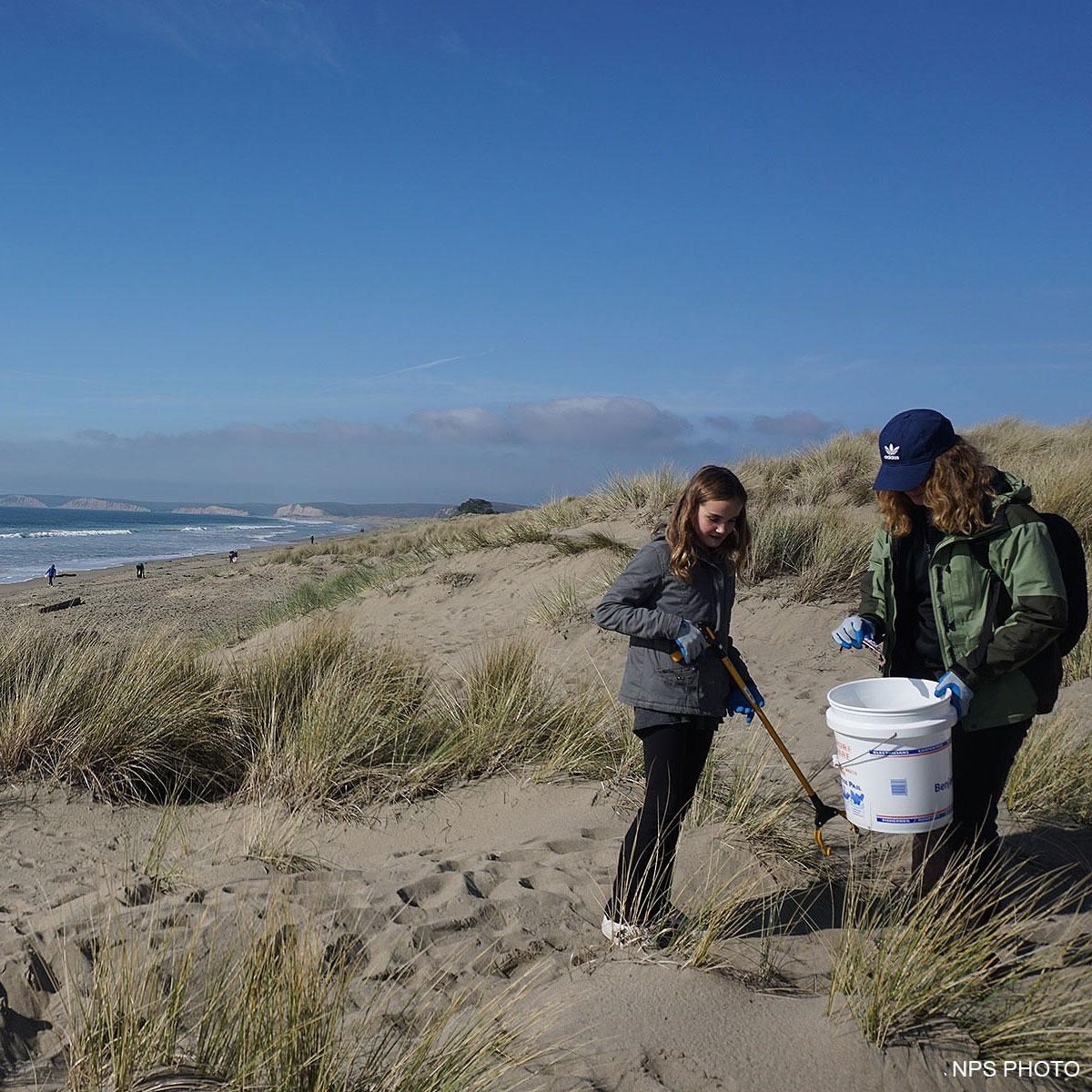 Two volunteers with a bucket and a trash grabber pick up litter in a sand dune at Limantour Beach.