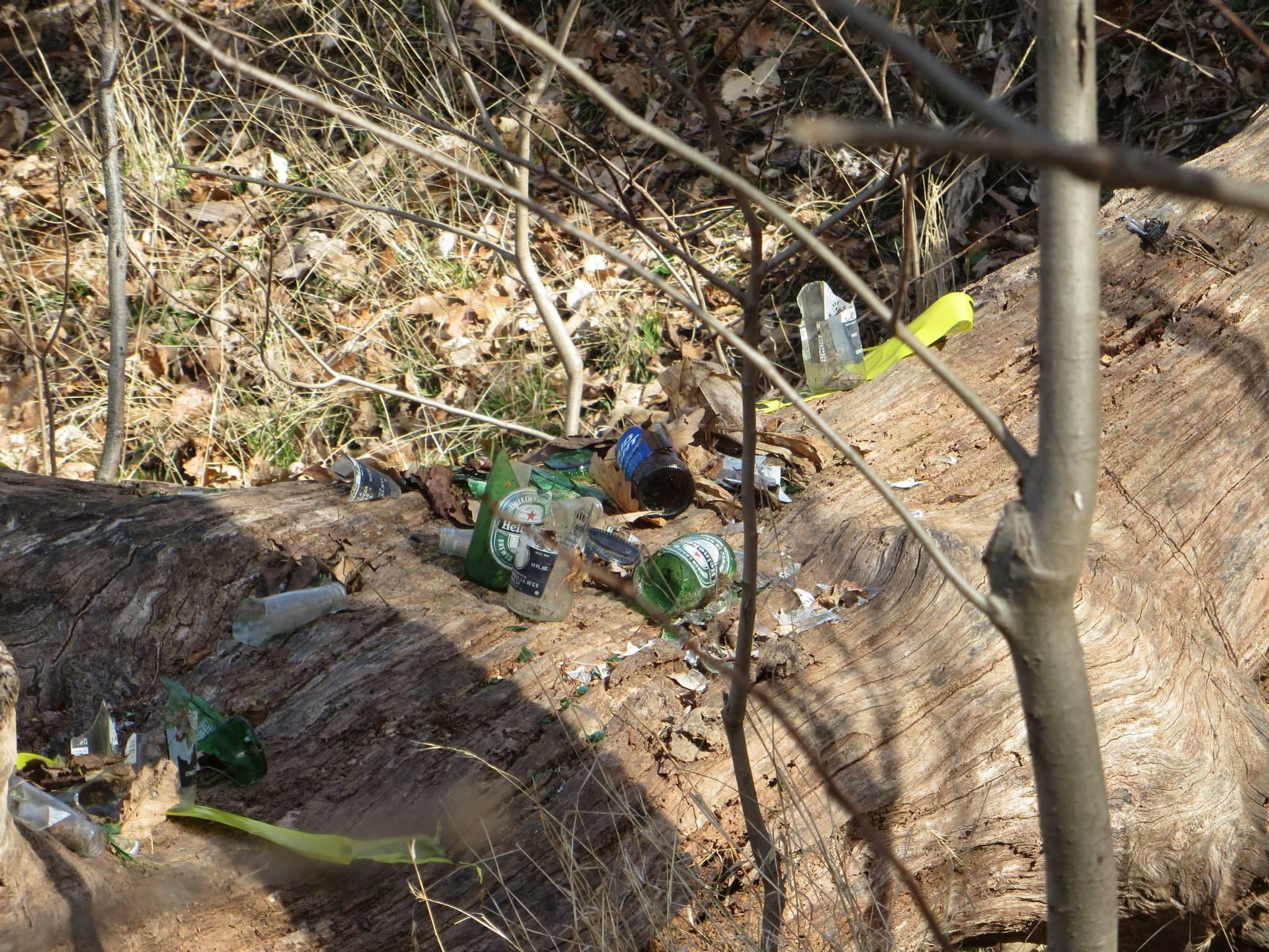 Broken bottles and trash on a fallen tree.
