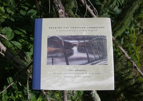Reading the Forested Landscape A Natural Historic of New England Tom Wessels