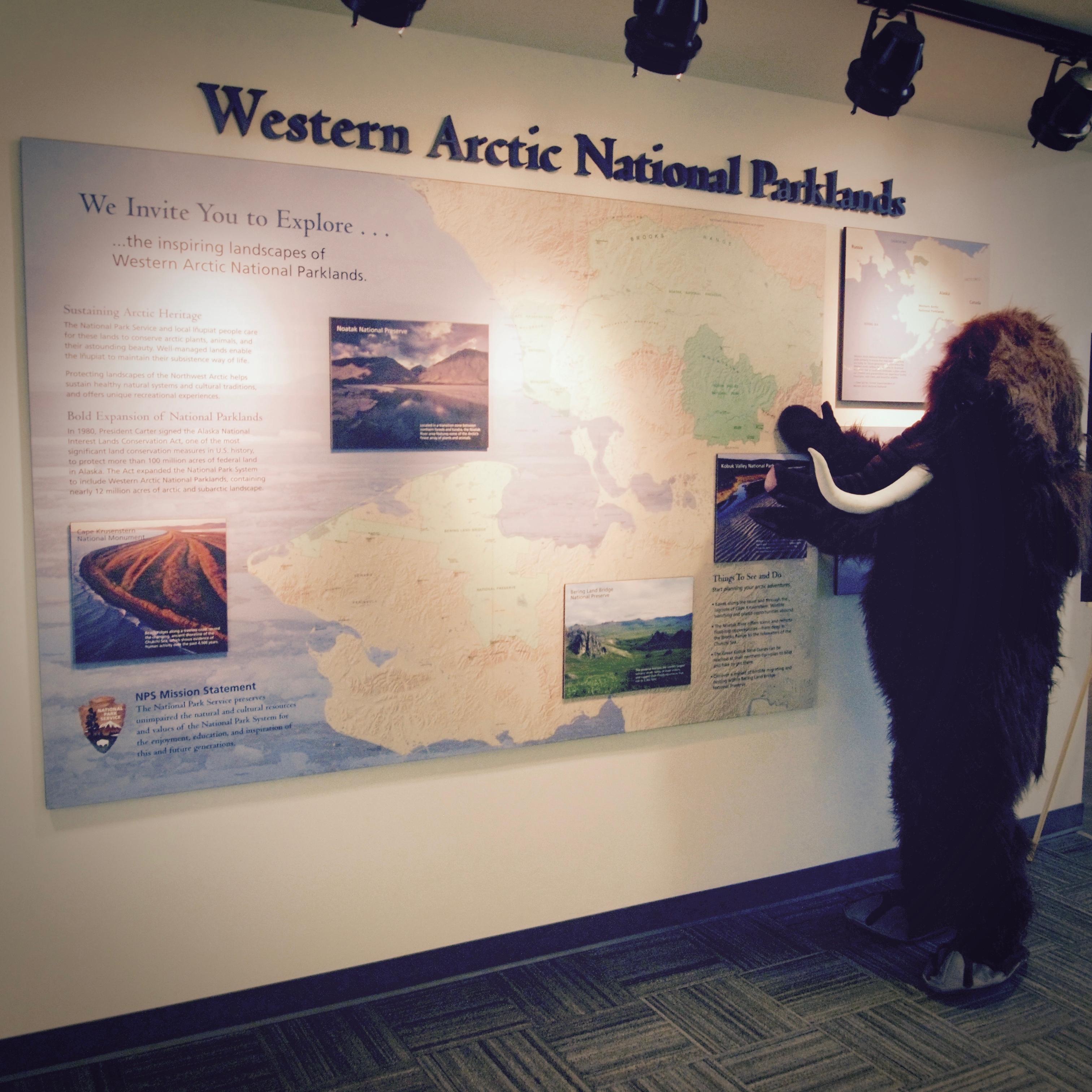 Ranger in Wooly Mammoth Costume poses in front of a map that highlights Western Arctic National Park