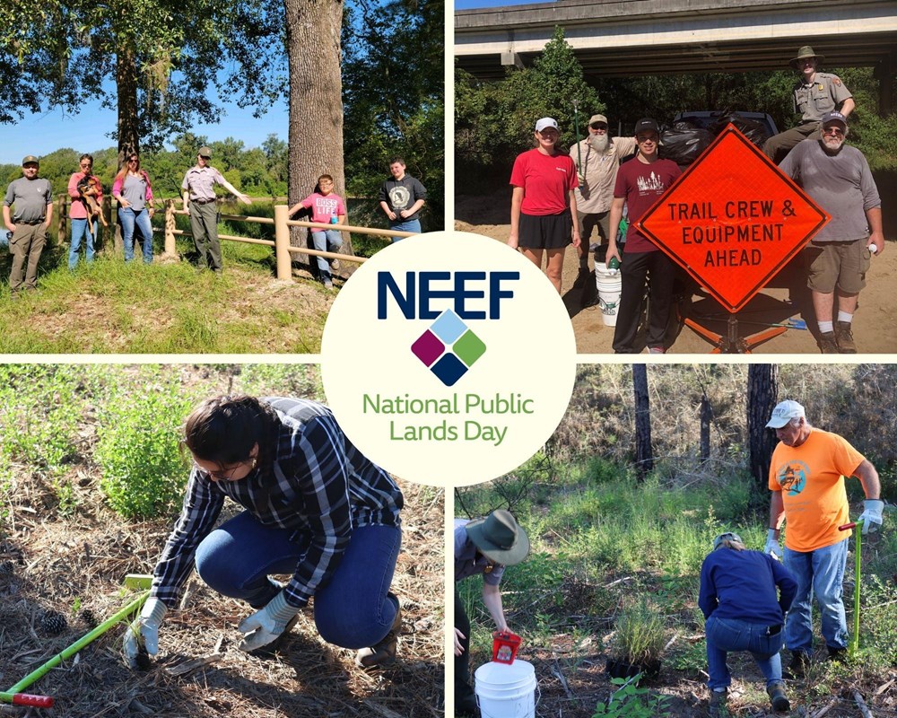 Graphic showing 4 volunteer scenes with text reading National Public Lands Day (NEEF)