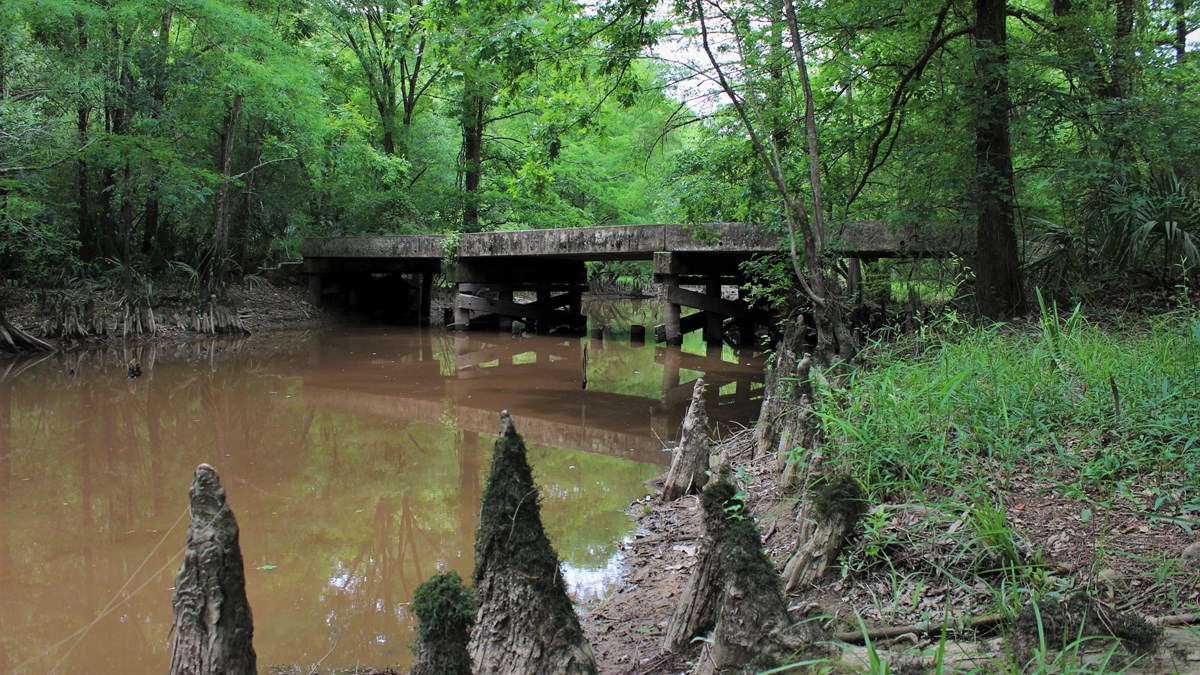 An old abandoned bridge over Little Pine Island Bayou with cypress knees in the foreground