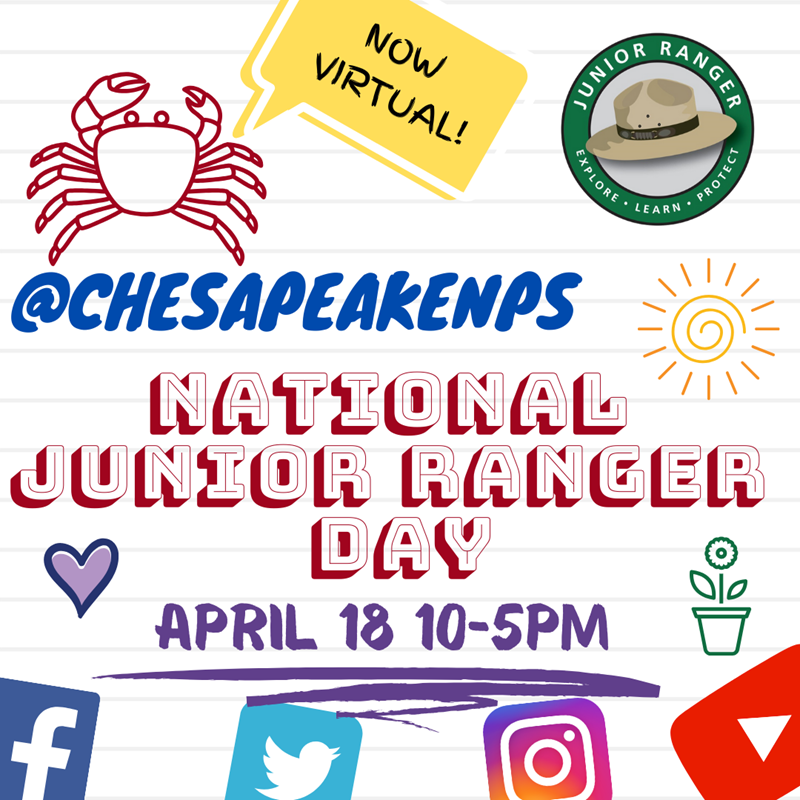 flyer for National Junior Ranger Day, now virtual, features crab, hearts, junior ranger logo