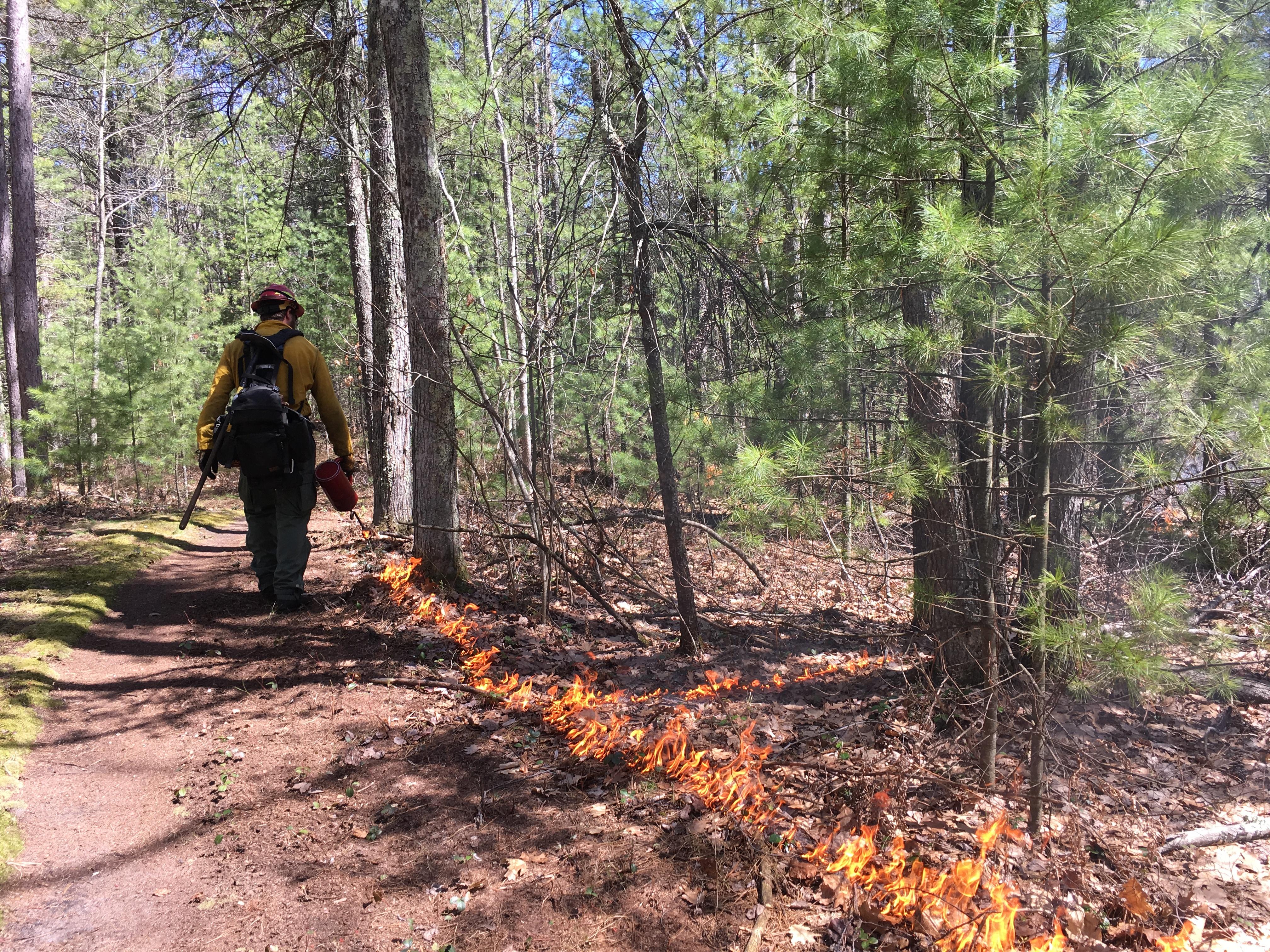 Living With Fire: Platte River Campground Twilight Talk
