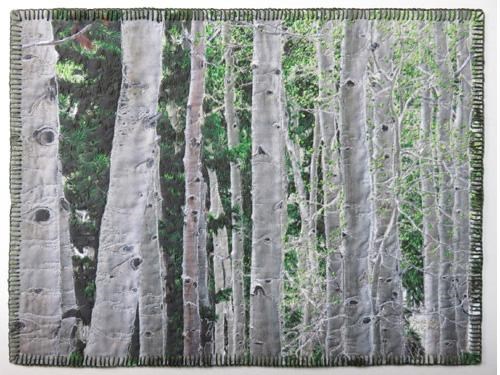Piece of fabric with tall white tree trunks and an embroidered edge