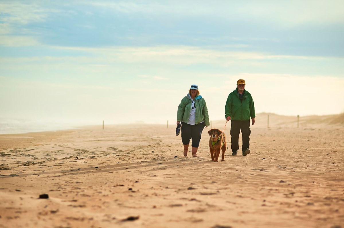 Visitors on the Beach
