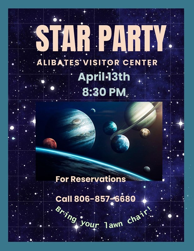 Star Party Poster