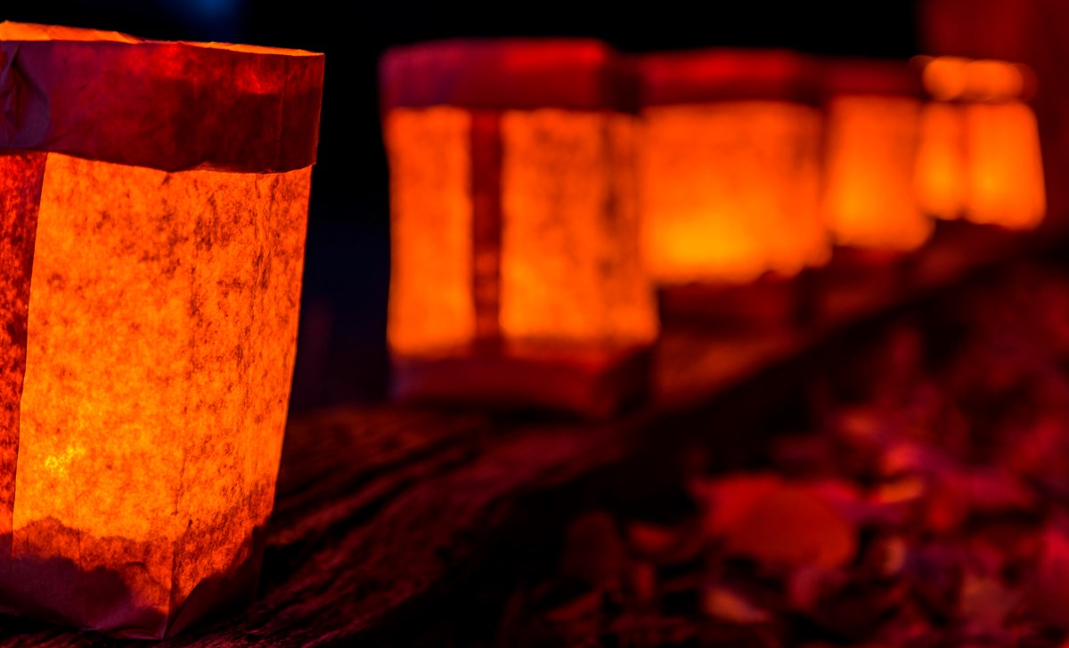 Paper bags illuminating on a trail