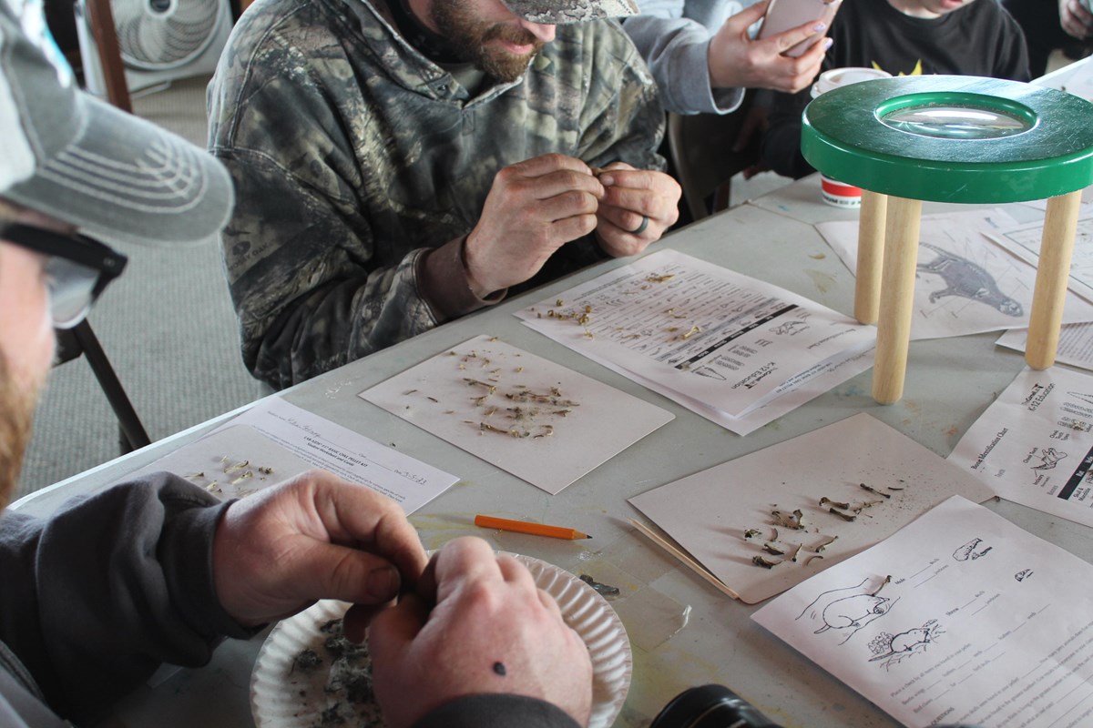 A group dissects owl pellets at a table.