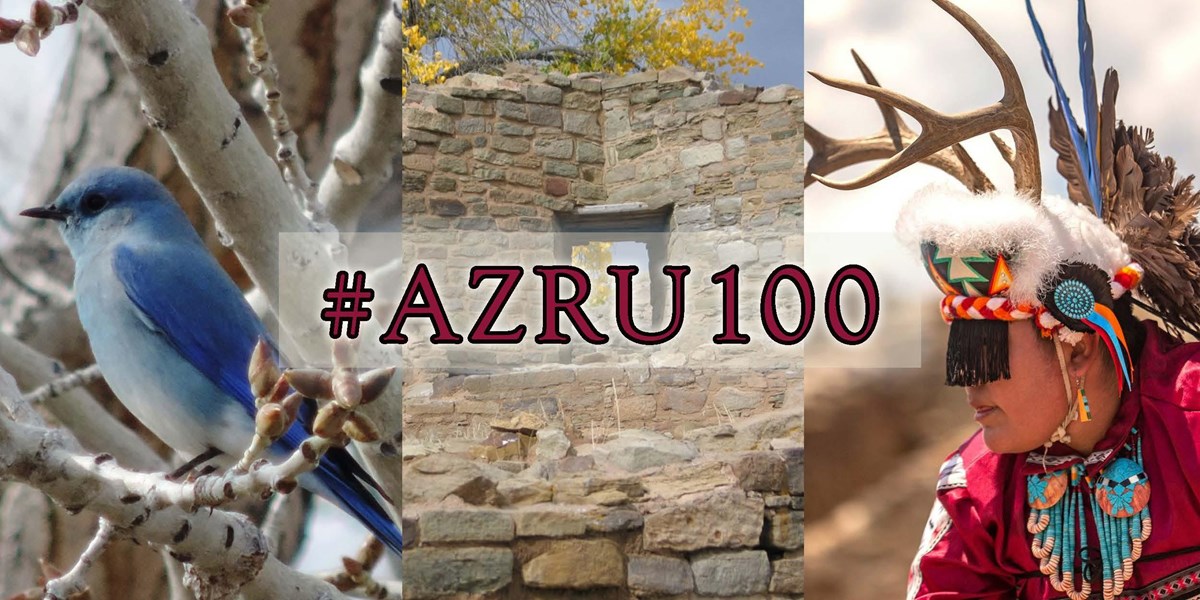 A banner showing 3 photos-a mountain bluebird, a corner door, and a Pueblo dancer with #AZRU100