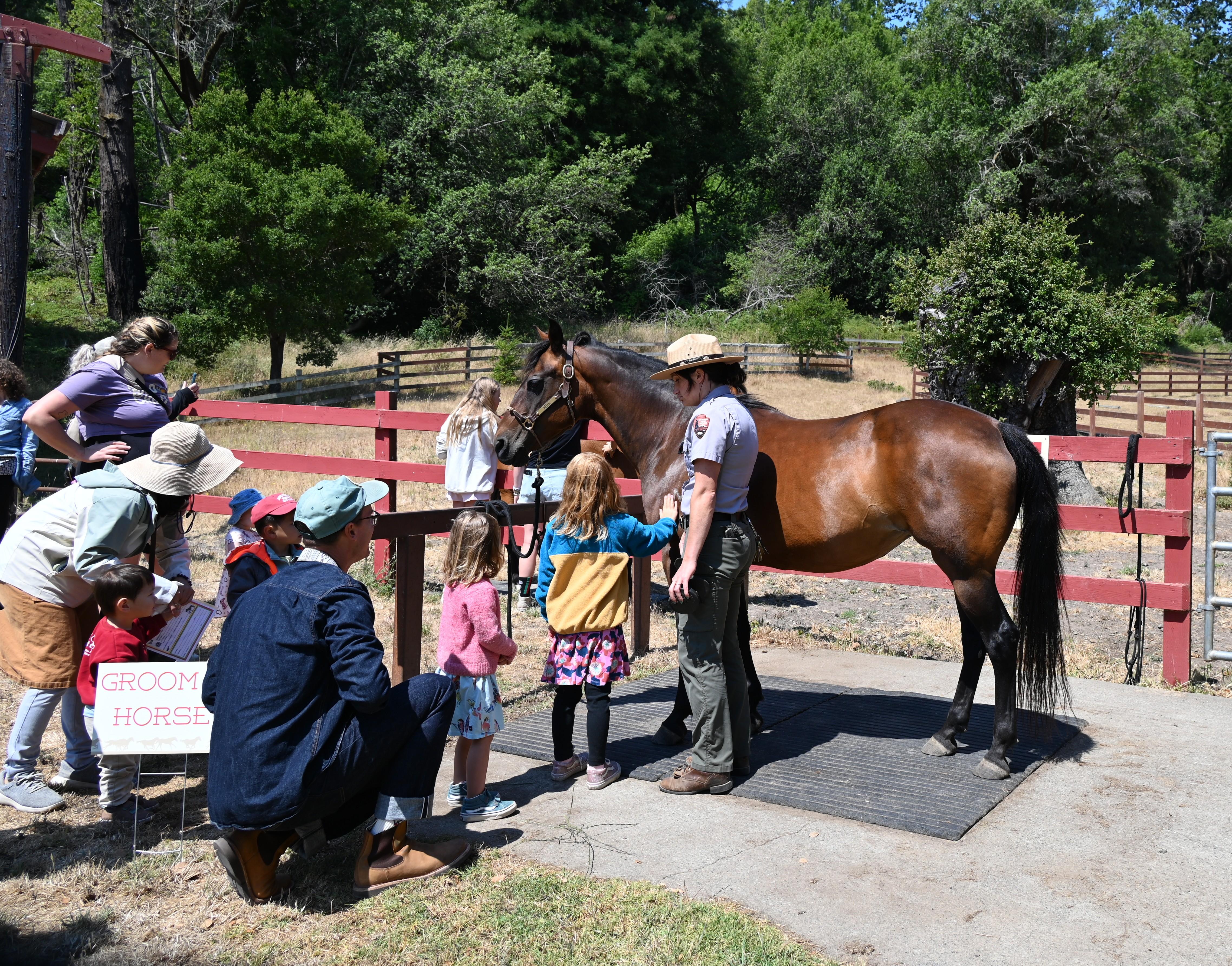 Several adults look on as a ranger helps a few children brush a brown horse.