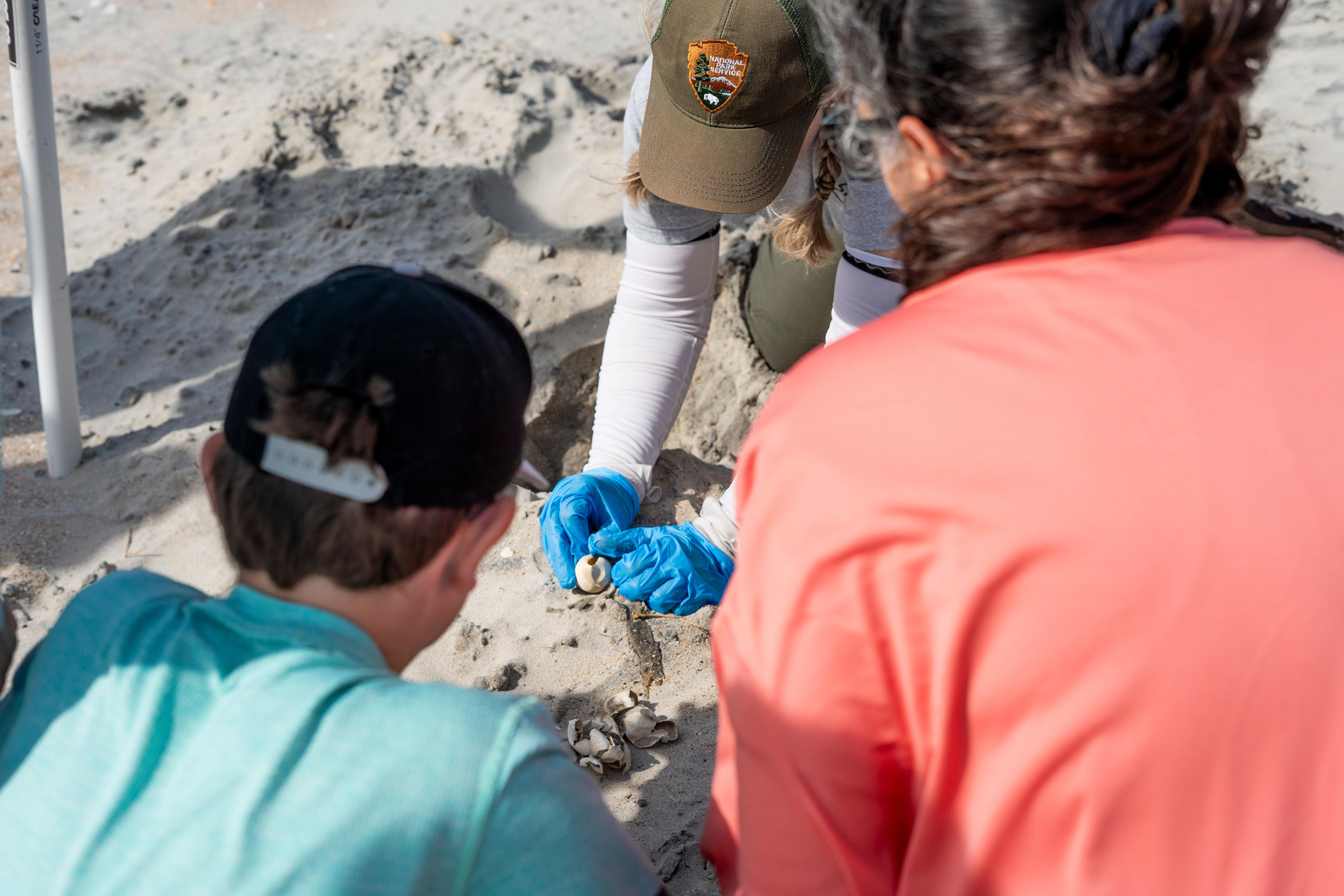 Can You Dig It: Sea Turtle Program