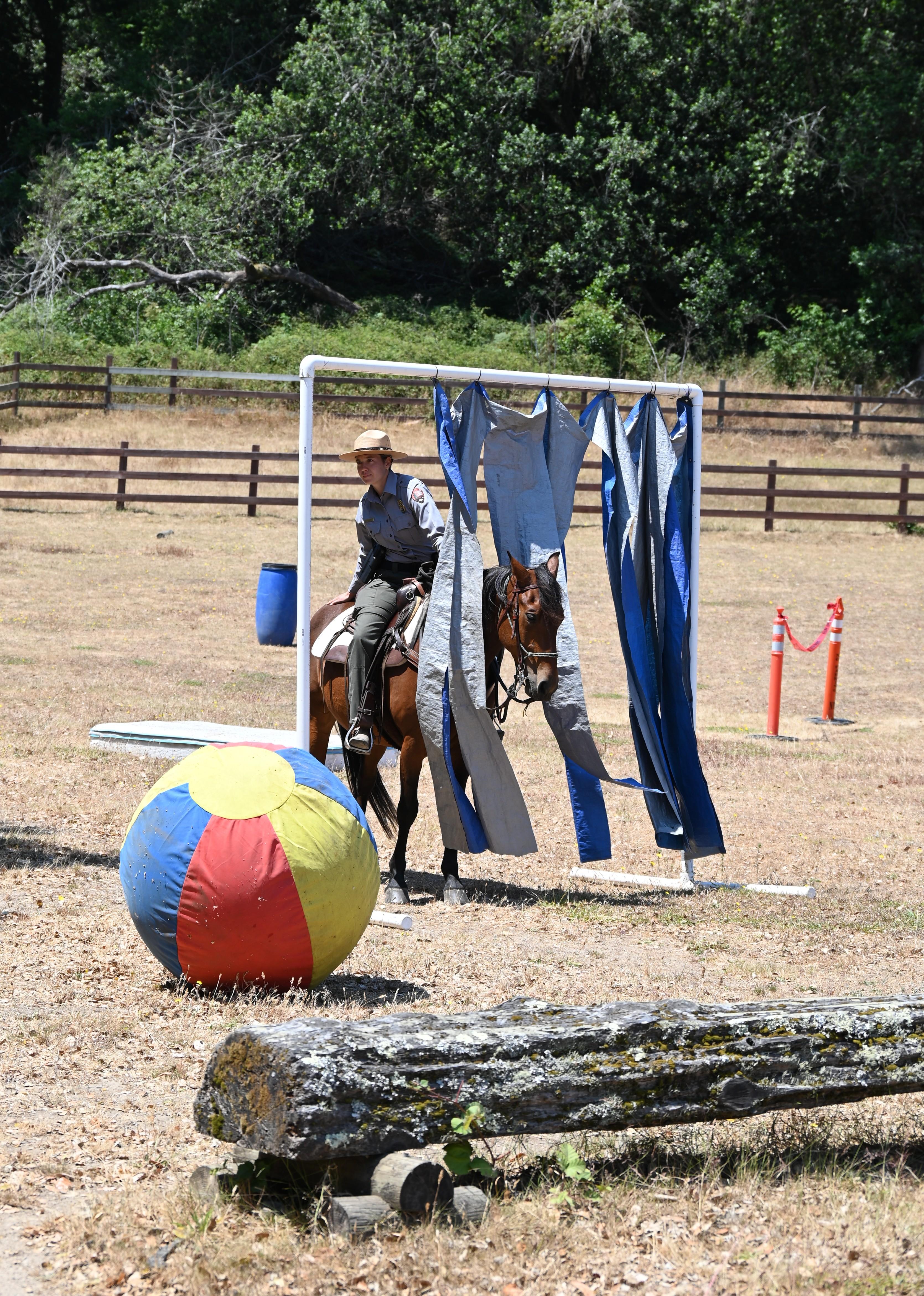 A ranger rides a horse under a large white arch with tarp hanging from it.
