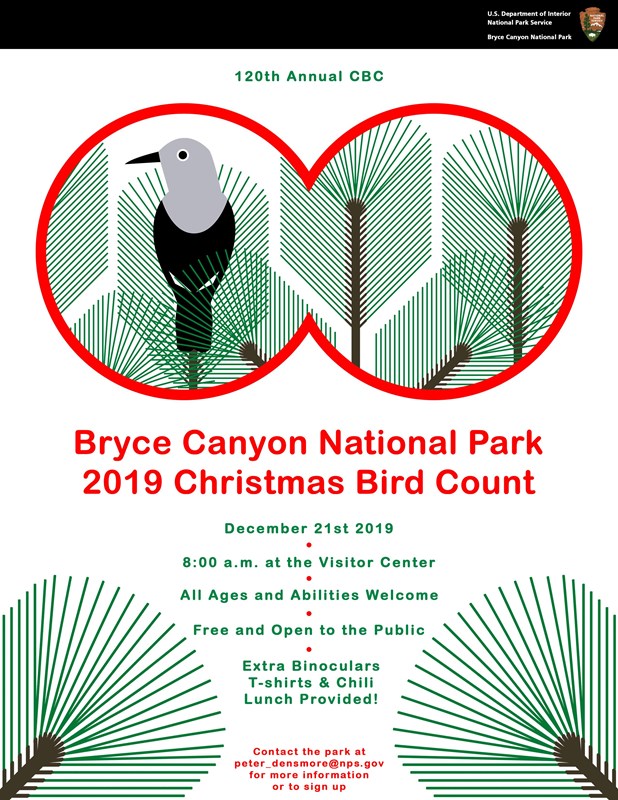 Poster for 2019 Christmas Bird Count