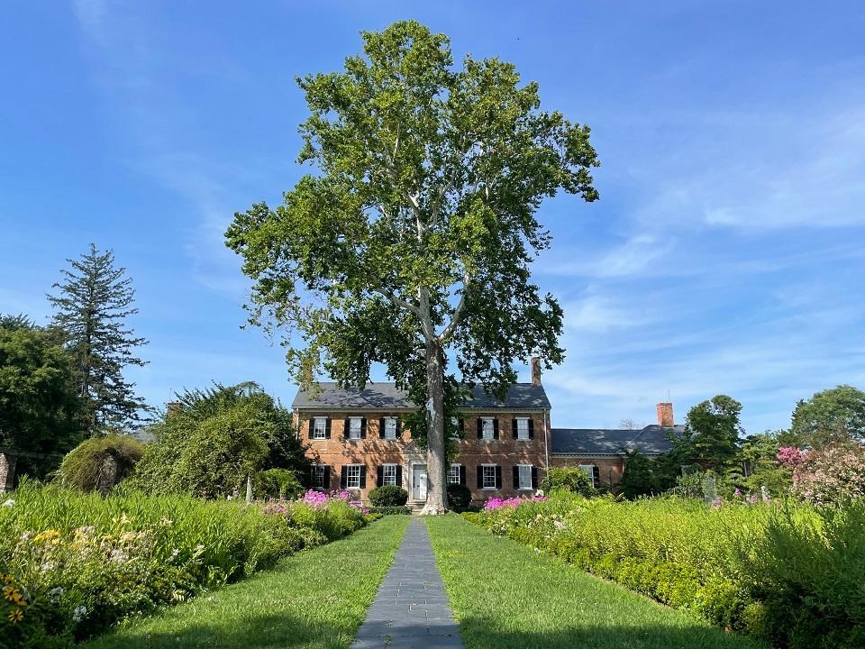 Photo of a Brick mansion house and large tree in the middle of a grassy garden landscape