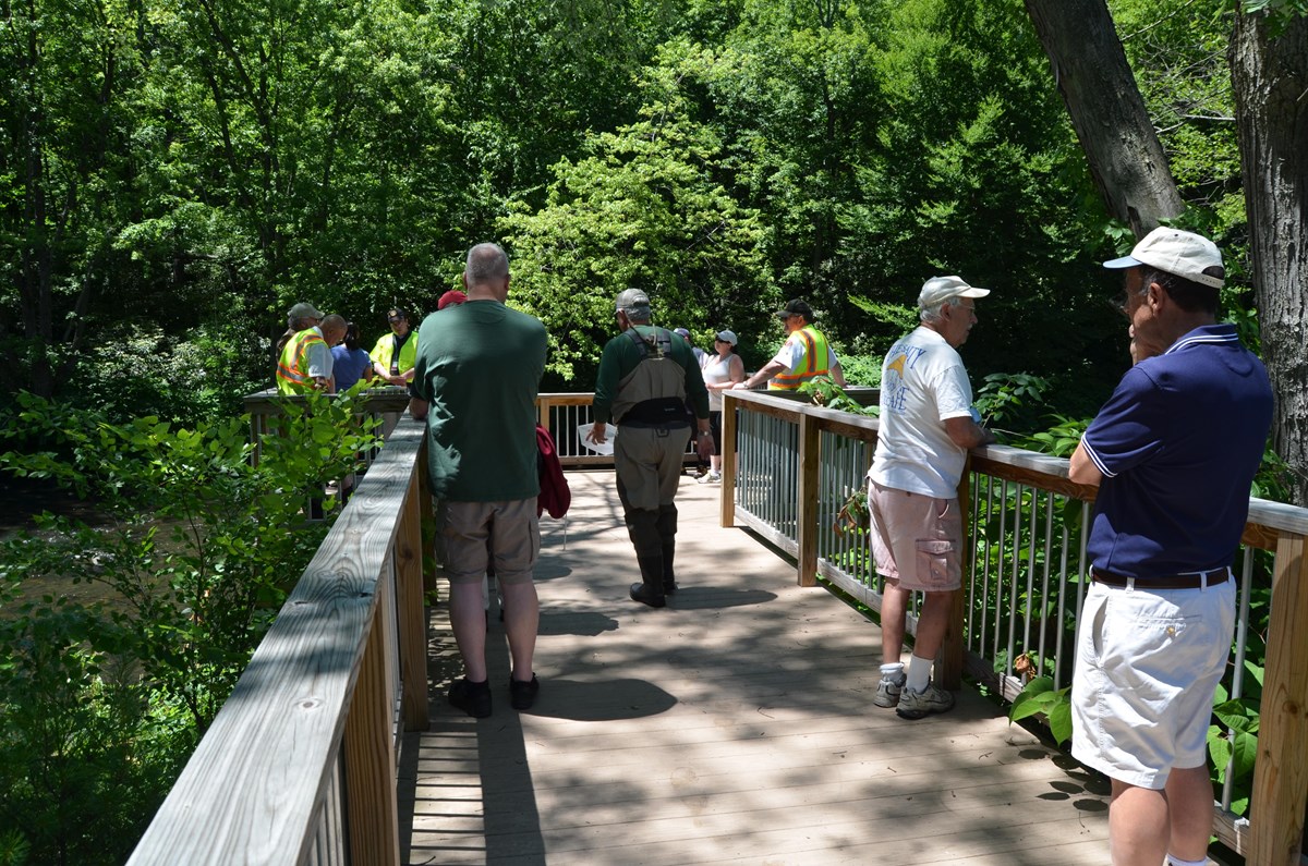 A group of approximately 10 adults gathered on a boardwalk and surrounded by tree canopy