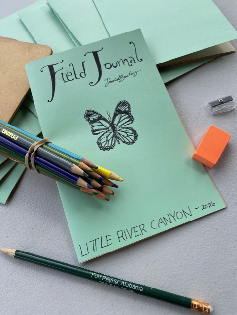 paper with drawing of a butterfly and color pencils
