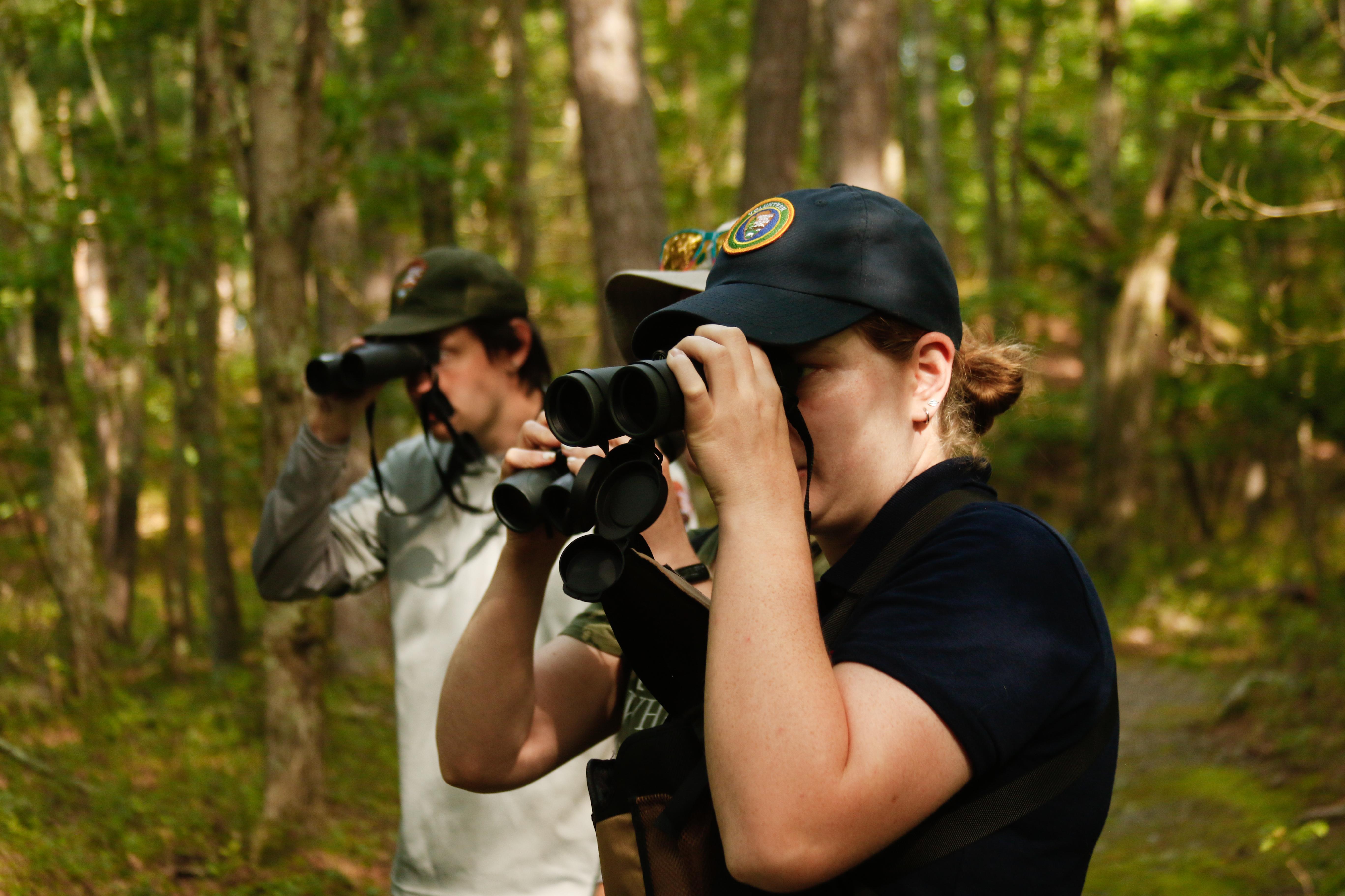 Intern and park ranger look through binoculars towards the left, standing in a forest.