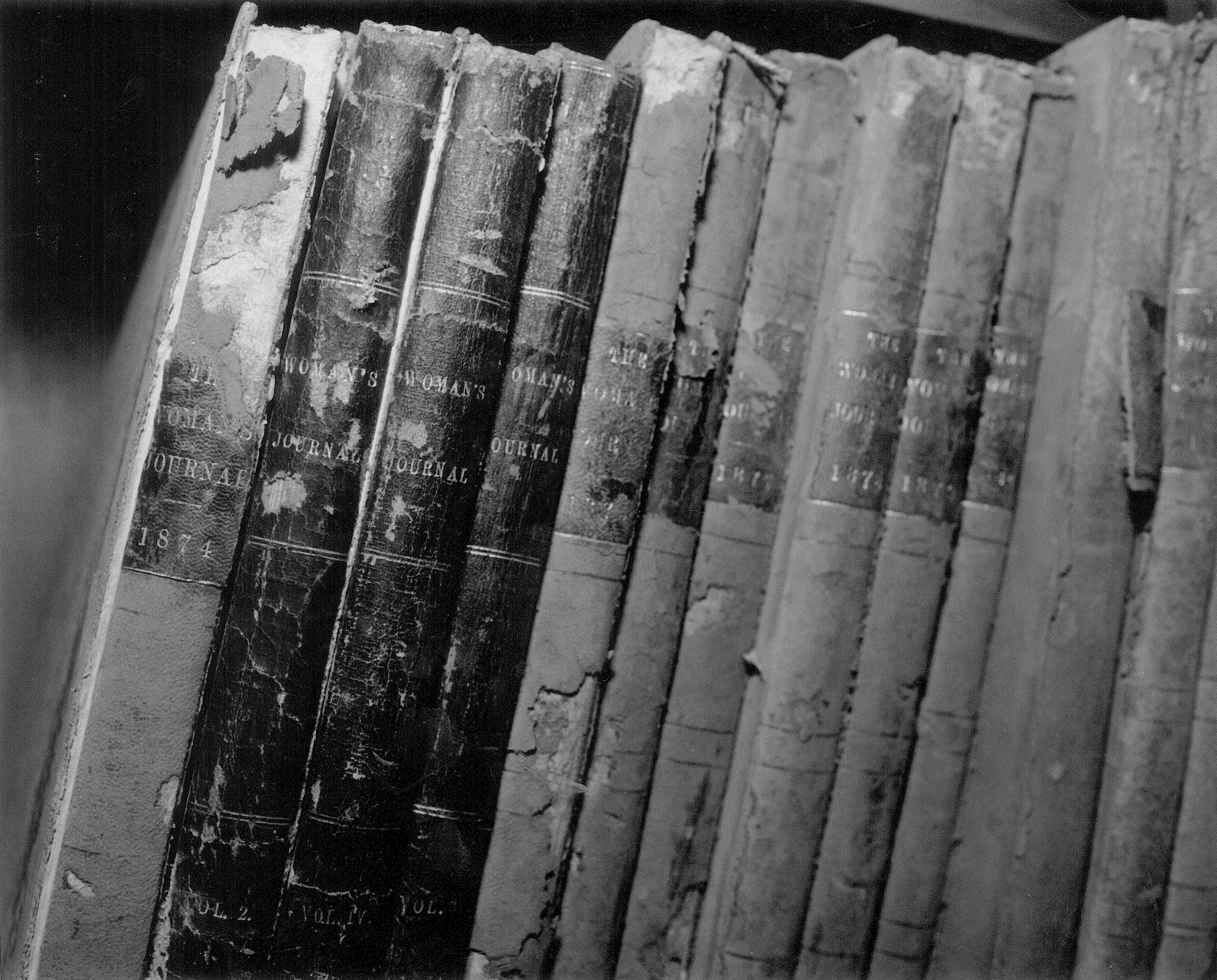 A row of weathered books