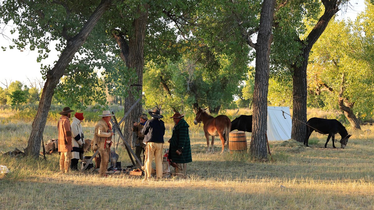 Living Historians (Hunters) in camp with mules, tents, and gear