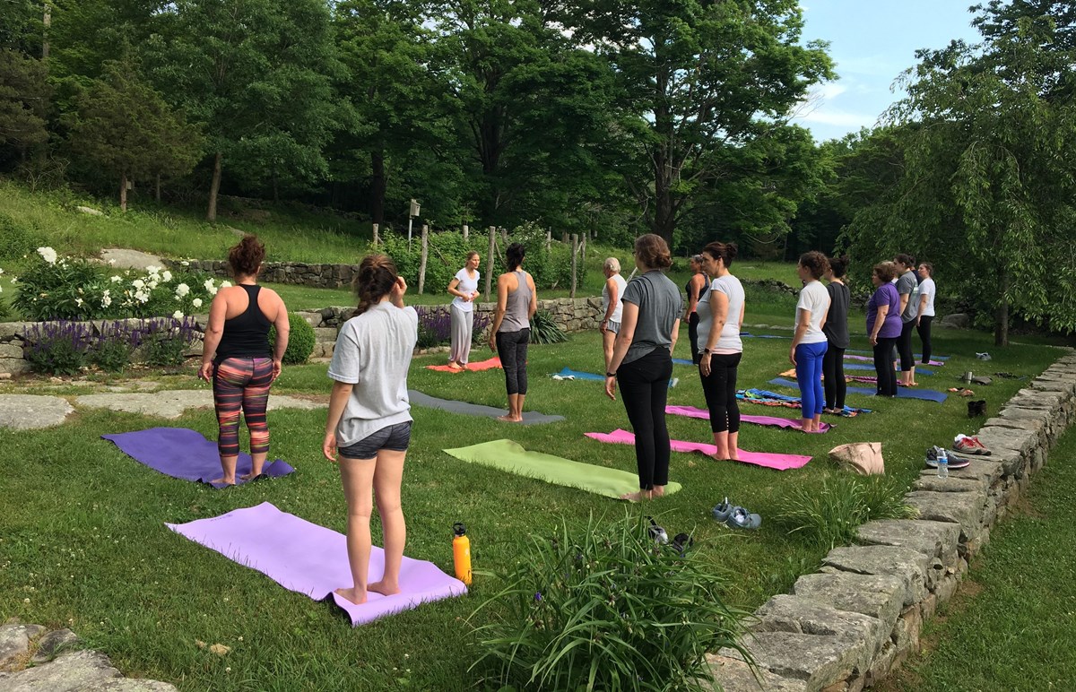 A group of people standing on yoga mats doing yoga outside on a sunny day.