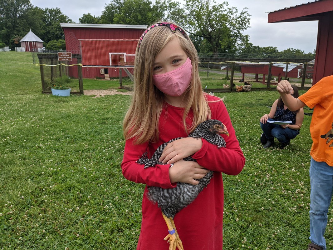a young girl holding a chicken