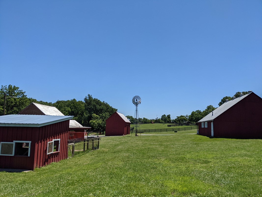 many red barns on a grassy field