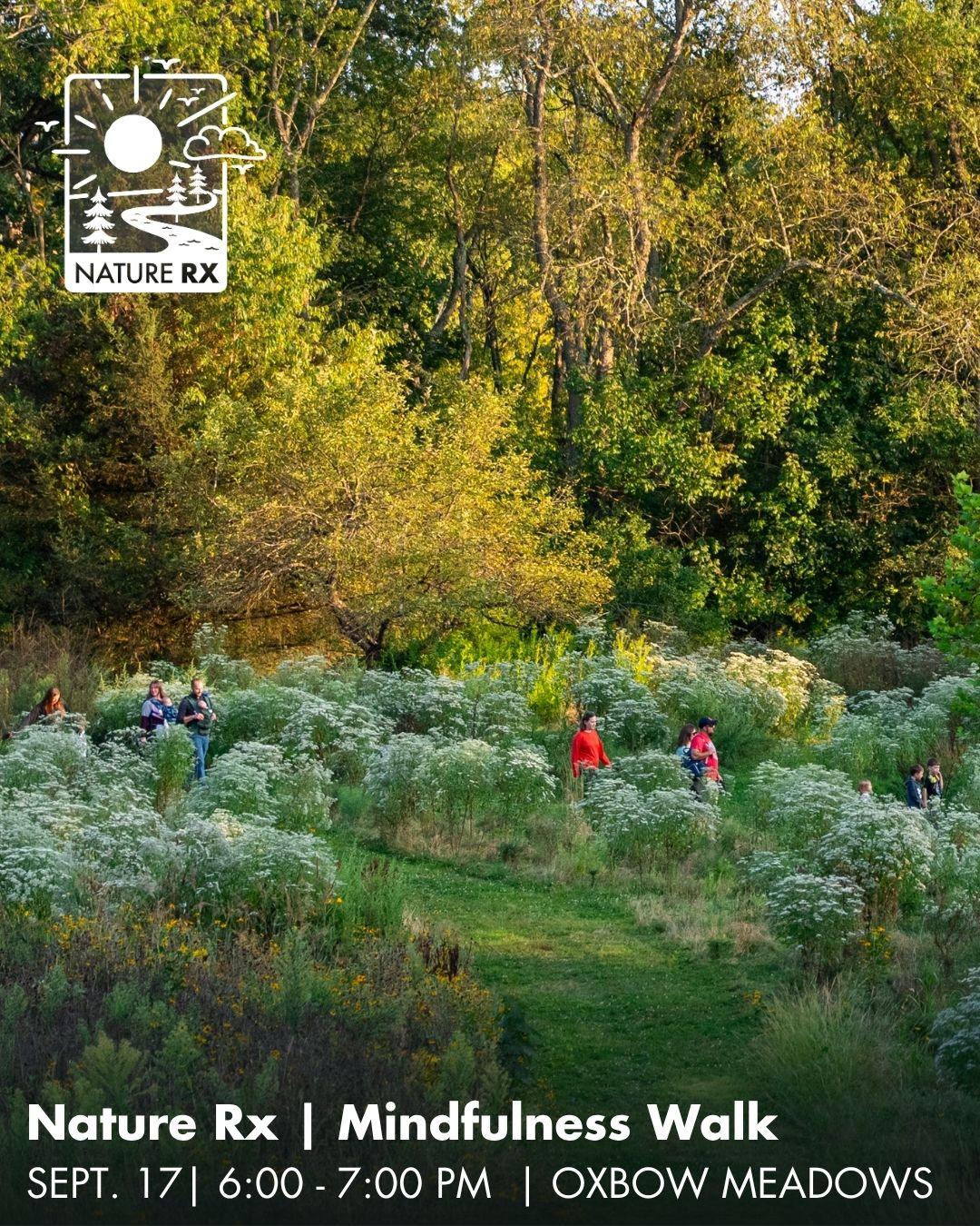 Nature Rx: Mindfulness Walk