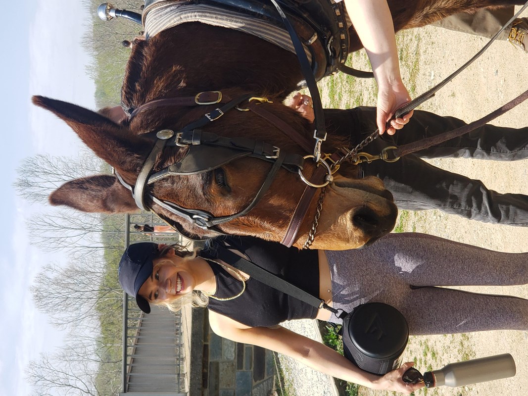 A woman standing next to a mule