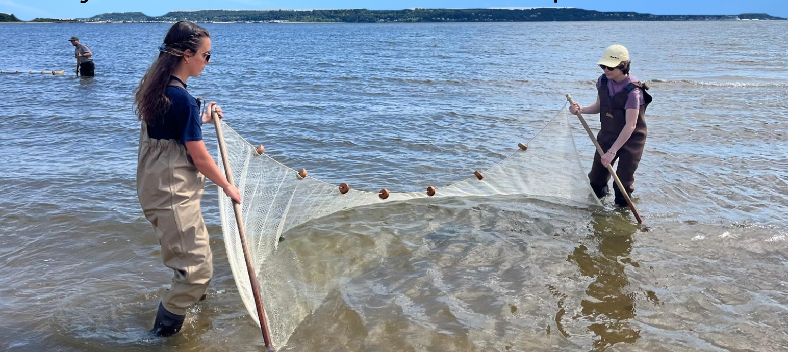 two people in water seining
