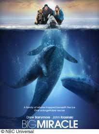A poster of the movie, Big Miracle, in colored