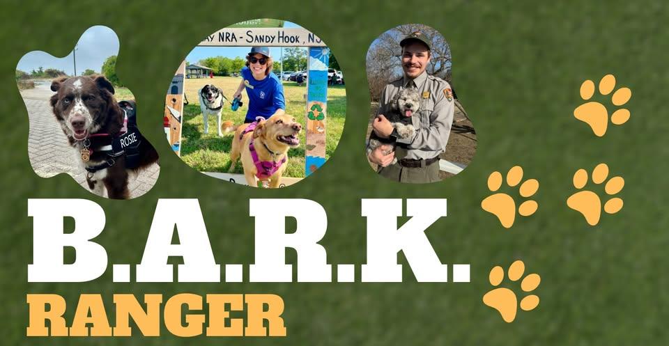 Rangers with dogs