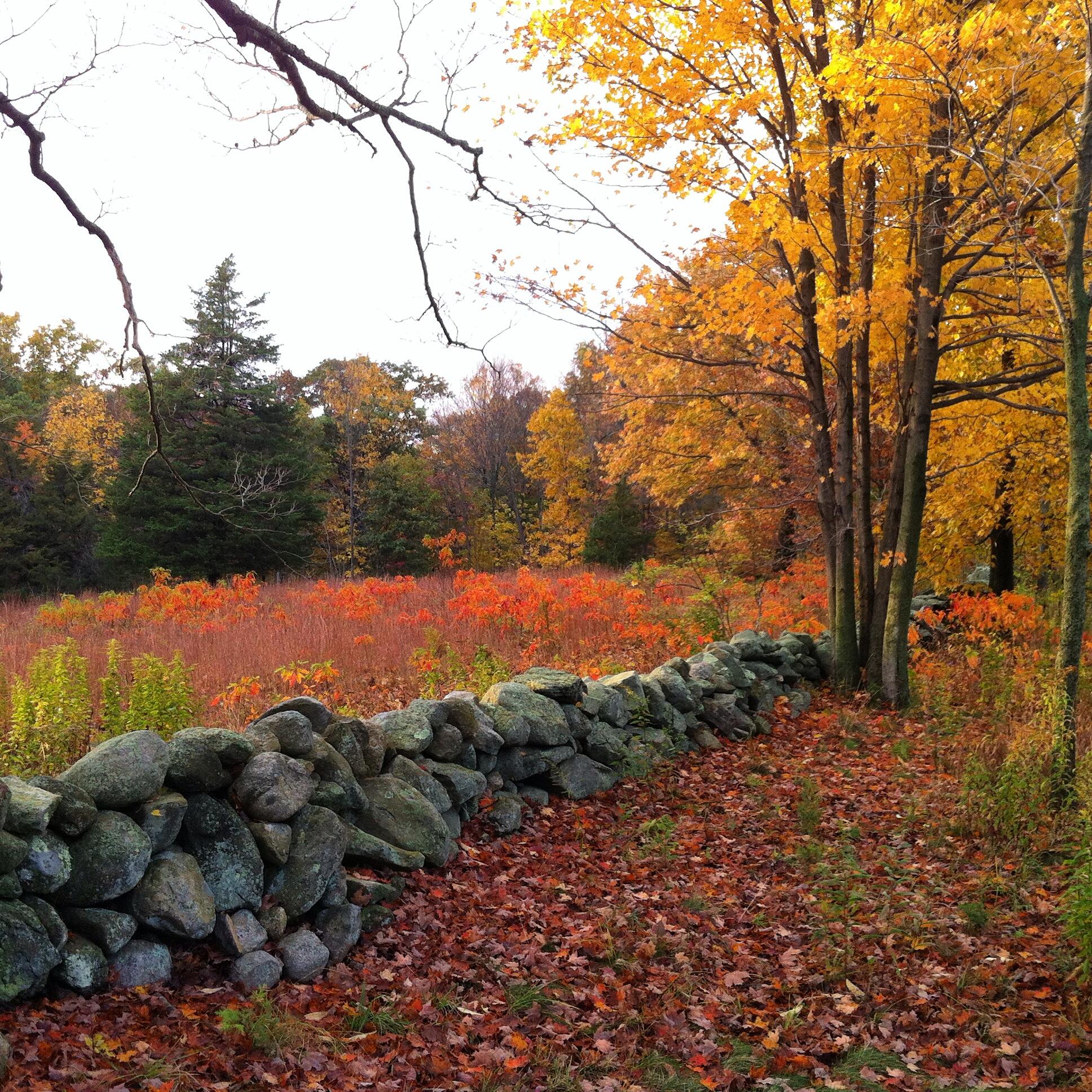 A stone wall and a meadow facing the Weir Preserve during autumn