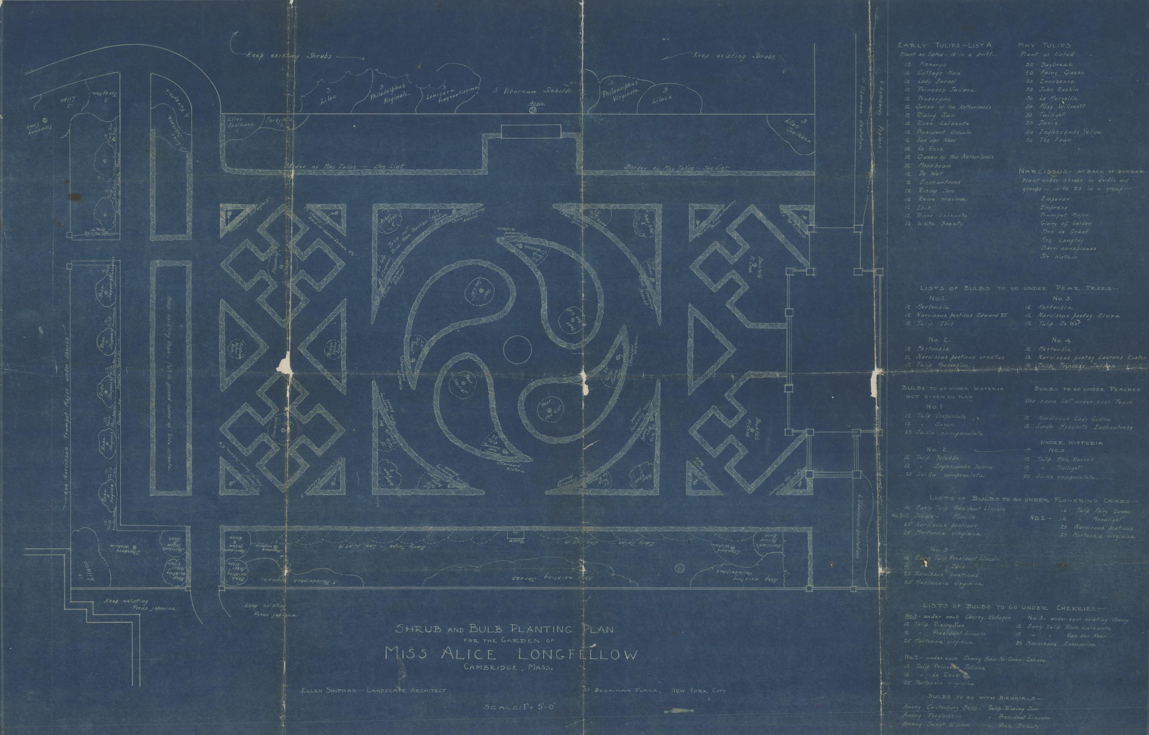Blueprint of the garden planting plan; includes a list of flowers and their position