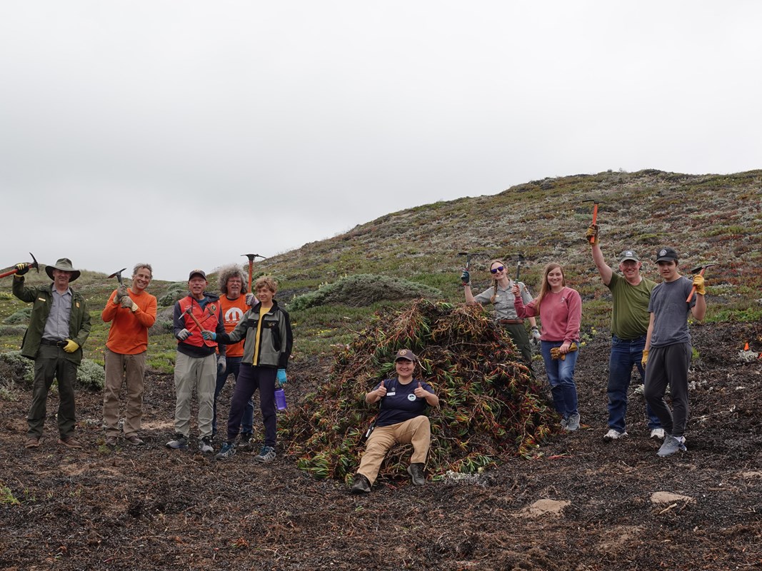 Nine people stand on either side of a large pile of ice plant, one person sits giving a thumbs up.