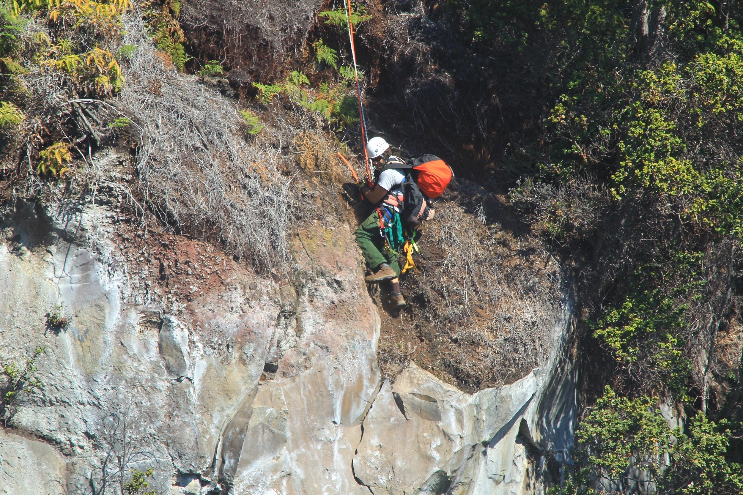 A ranger rappels into a forested pit crater.