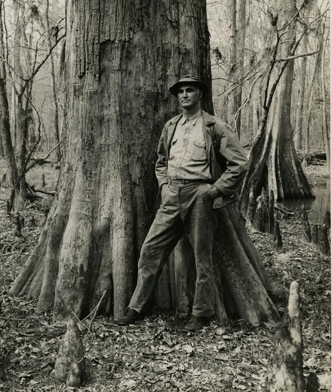Man with hands in pockets standing at base of a large tree