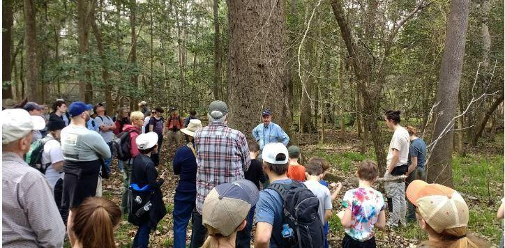 Large group of visitors listening to park volunteer standing in front of large pine tree