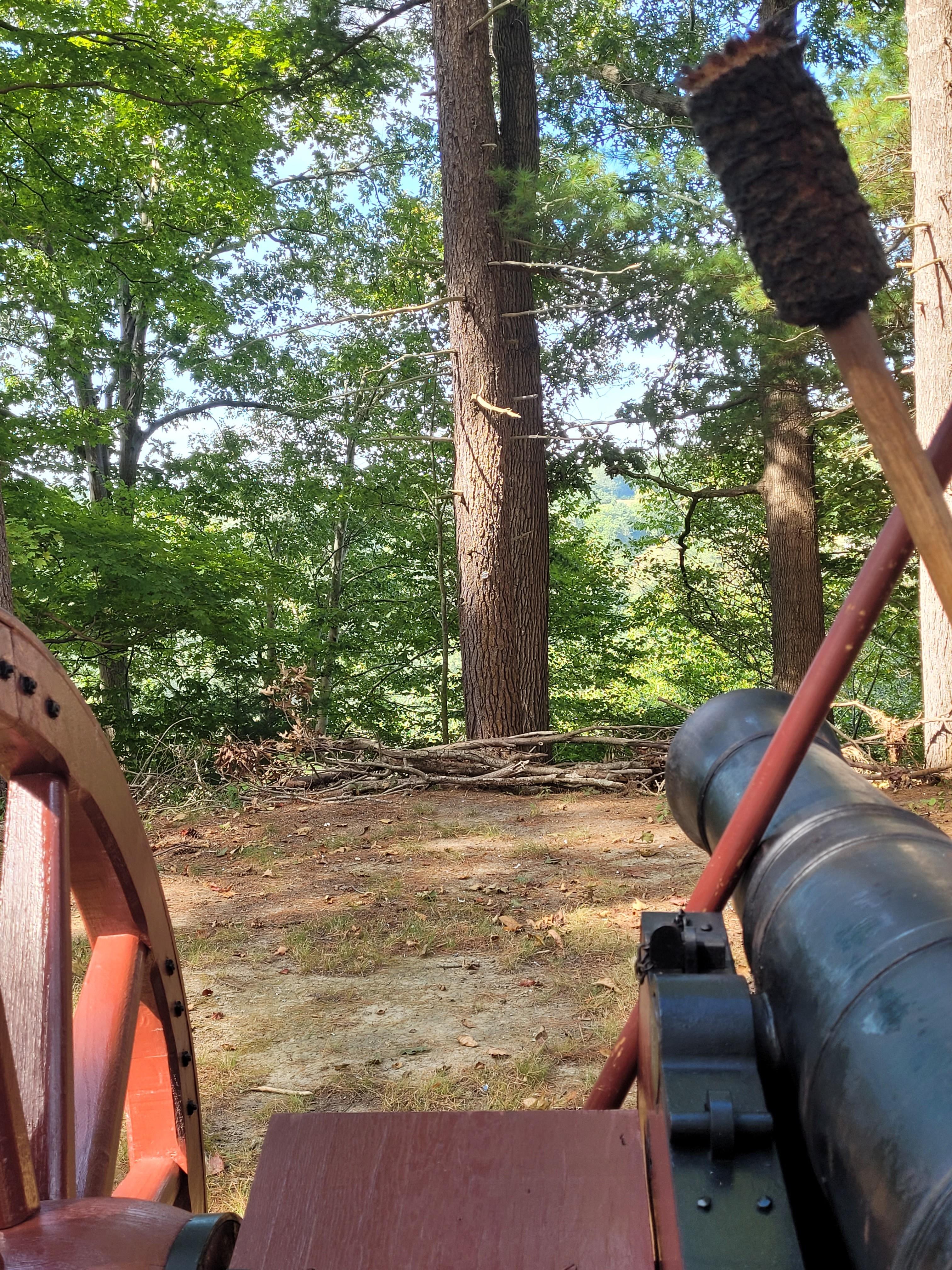 a view of the tree line over the back of an 18th century six pound cannon