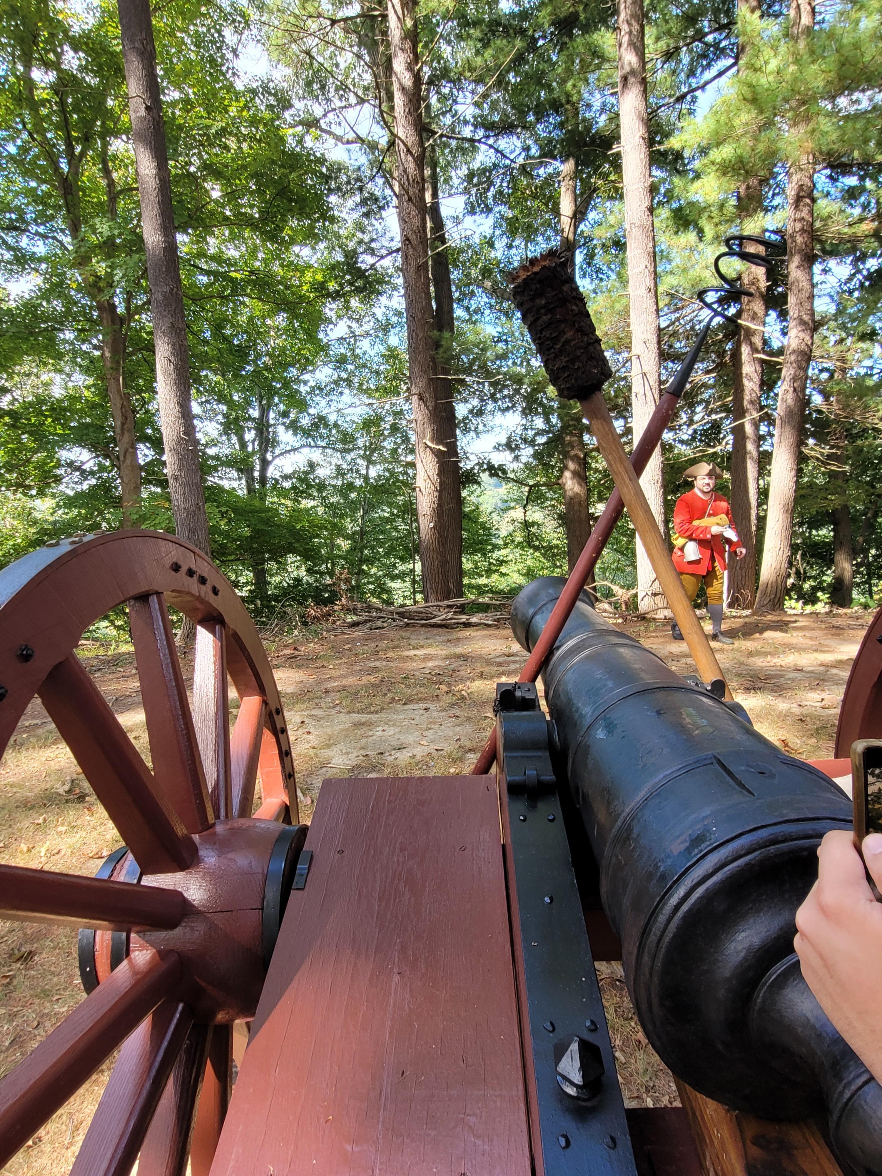 a view of the tree line over the back of an 18th century six-pound cannon
