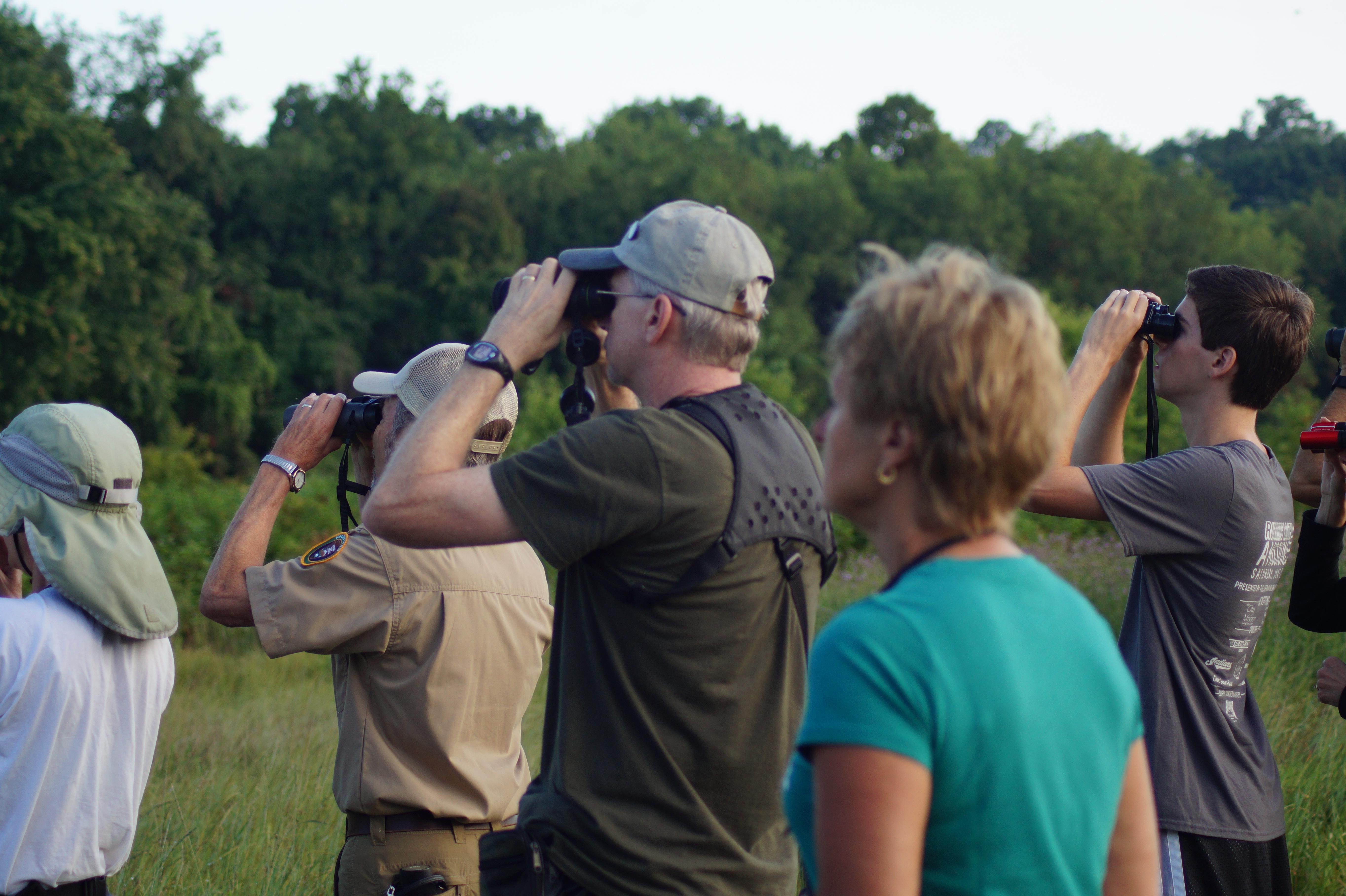 Bird Walk