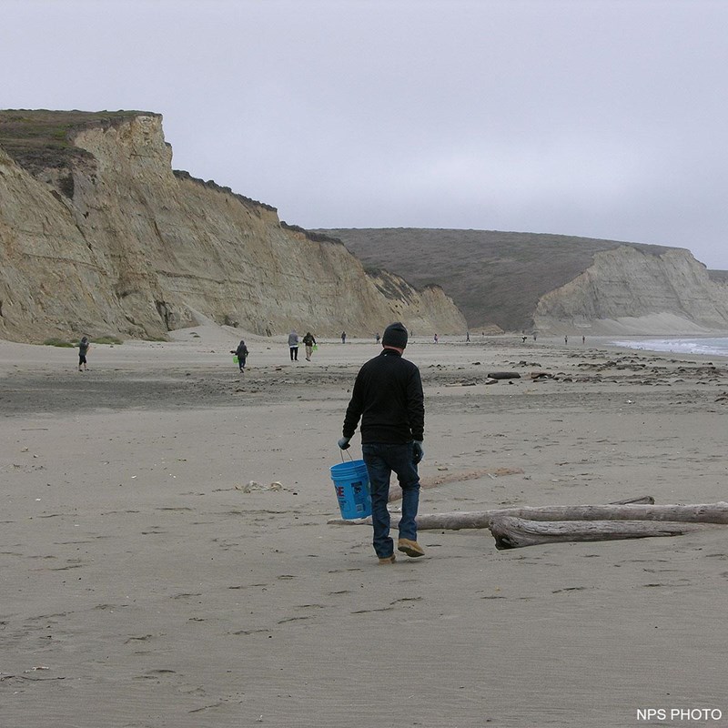 Fifteen people widely scattered across a beach carrying buckets search for marine debris.