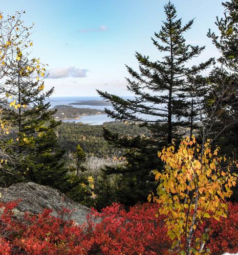 A mountain overlook with a view of autumn foliage in the foreground, and islands in the background.