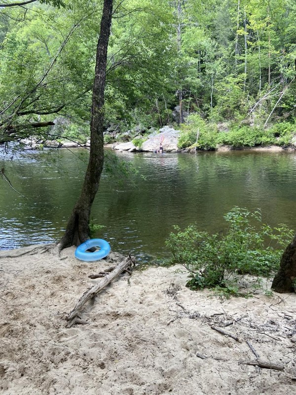 a sandy beach along a river