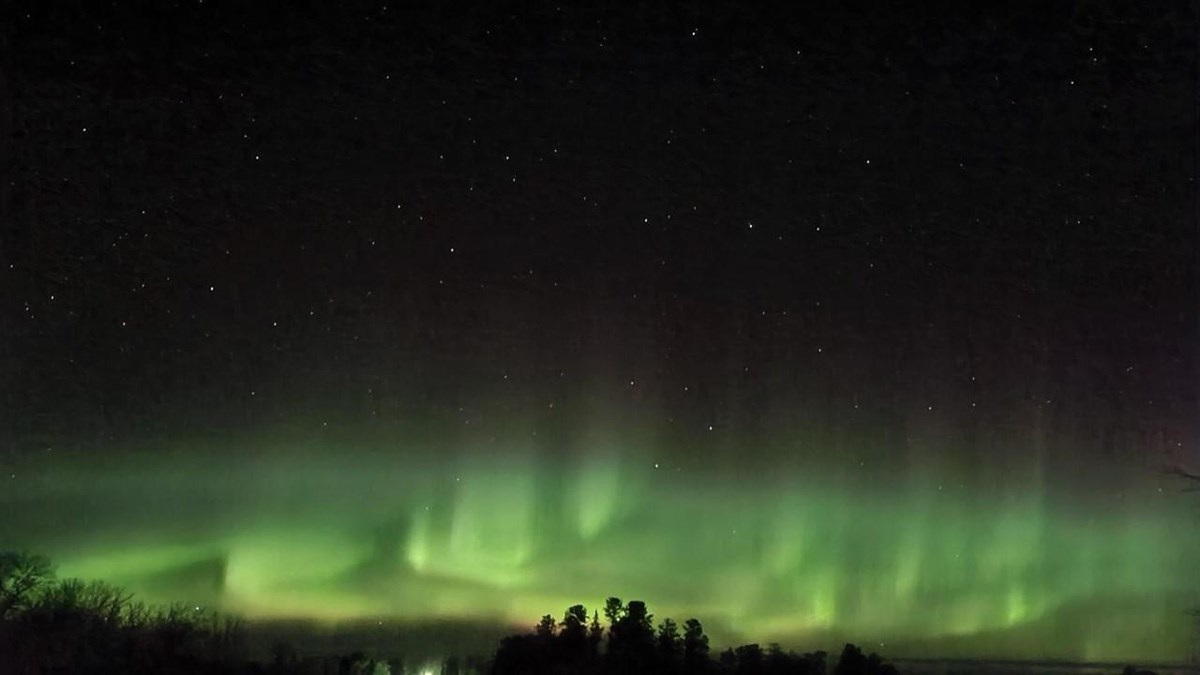 The Northern Lights creating streaks of vibrant green in a black sky above silhouetted trees.