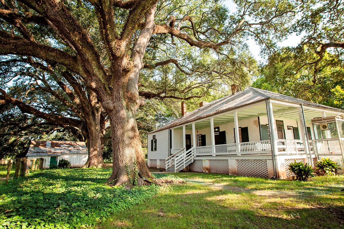 a view of the Magnolia overseer's house with Live oaks in front.