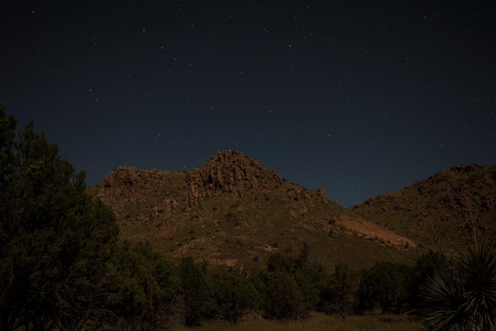 Night sky filled with stars above a dark silhouette of trees and a mountain.