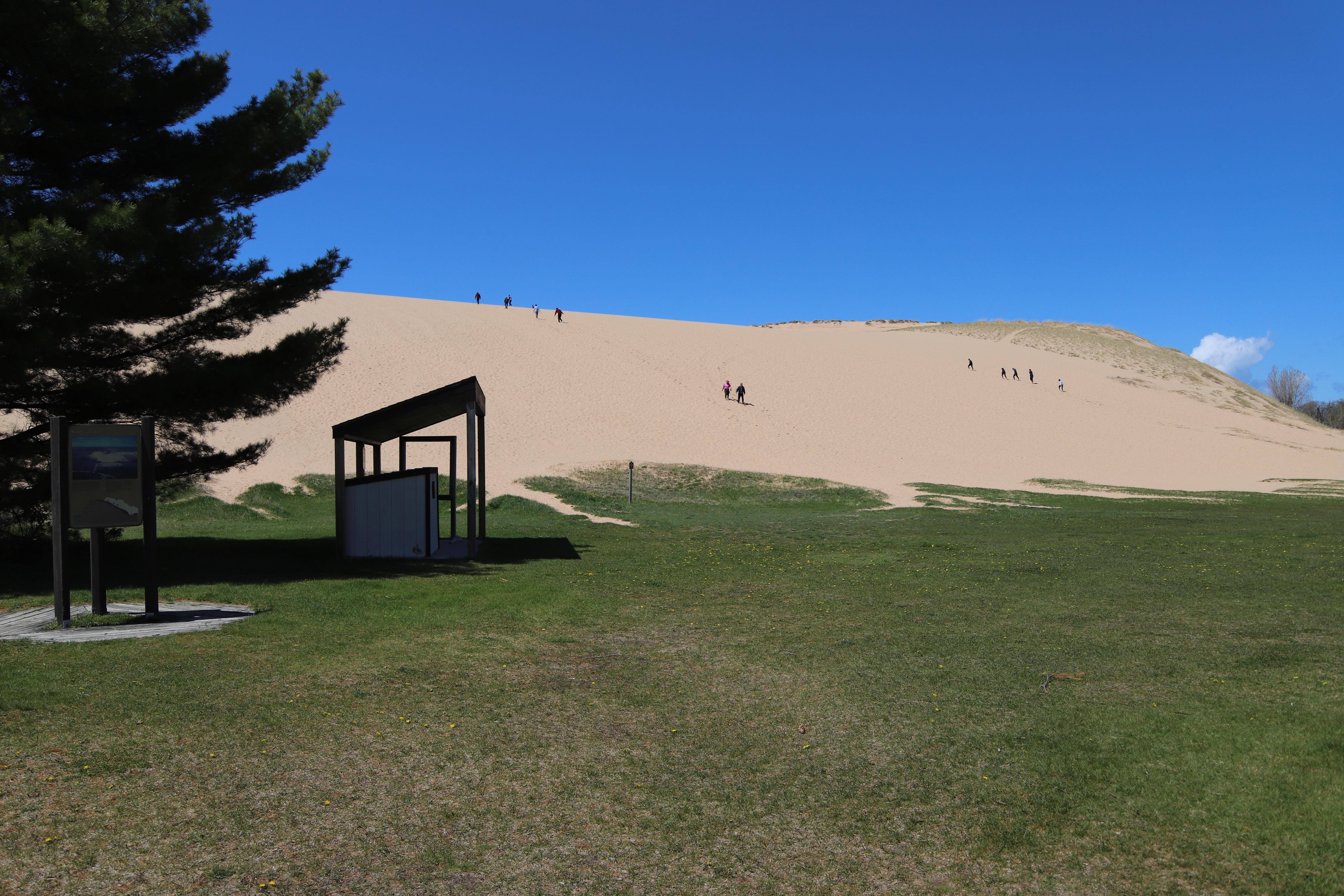 Flat grass in the foreground quickly turns into a steep sandy dune with people climbing to the top.